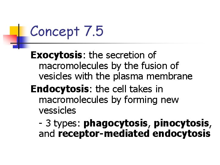 Concept 7. 5 Exocytosis: the secretion of macromolecules by the fusion of vesicles with