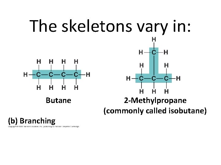 The skeletons vary in: Butane (b) Branching 2 -Methylpropane (commonly called isobutane) 