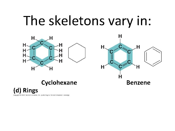 The skeletons vary in: (d) Rings Cyclohexane Benzene 