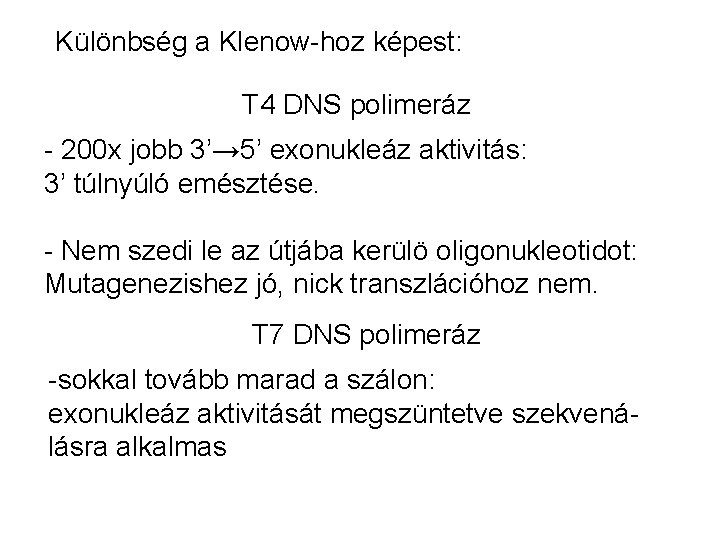 Különbség a Klenow-hoz képest: T 4 DNS polimeráz - 200 x jobb 3’→ 5’