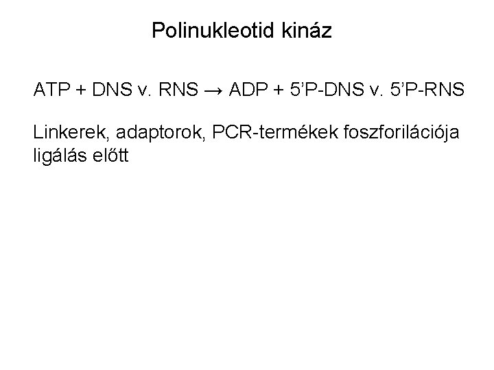 Polinukleotid kináz ATP + DNS v. RNS → ADP + 5’P-DNS v. 5’P-RNS Linkerek,