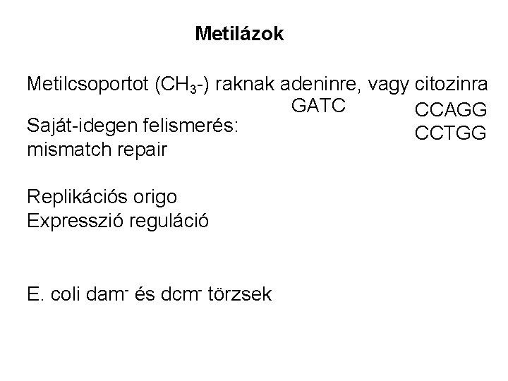 Metilázok Metilcsoportot (CH 3 -) raknak adeninre, vagy citozinra GATC CCAGG Saját-idegen felismerés: CCTGG