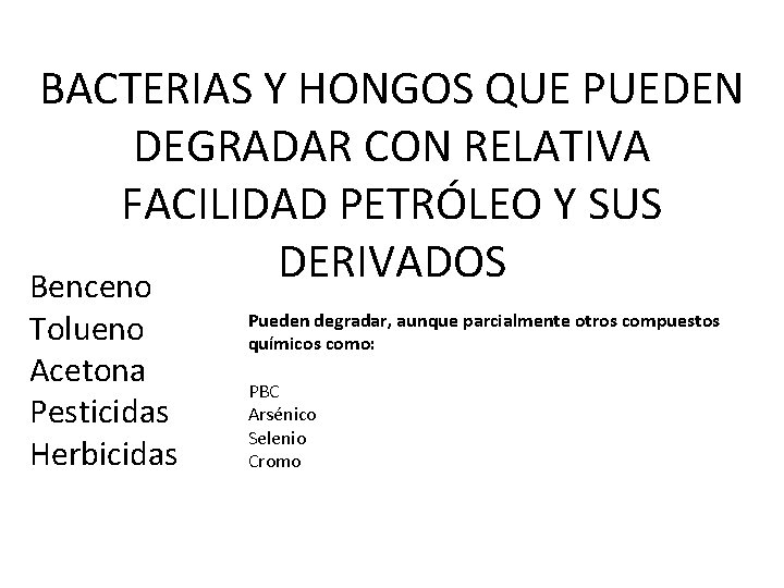 BACTERIAS Y HONGOS QUE PUEDEN DEGRADAR CON RELATIVA FACILIDAD PETRÓLEO Y SUS DERIVADOS Benceno