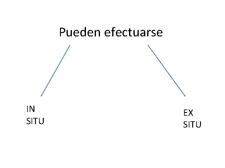 Pueden efectuarse IN SITU EX SITU 