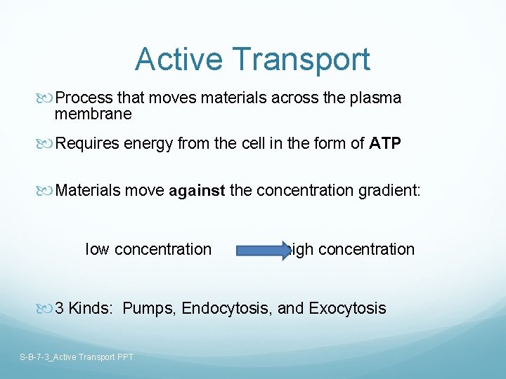 Active Transport Process that moves materials across the plasma membrane Requires energy from the