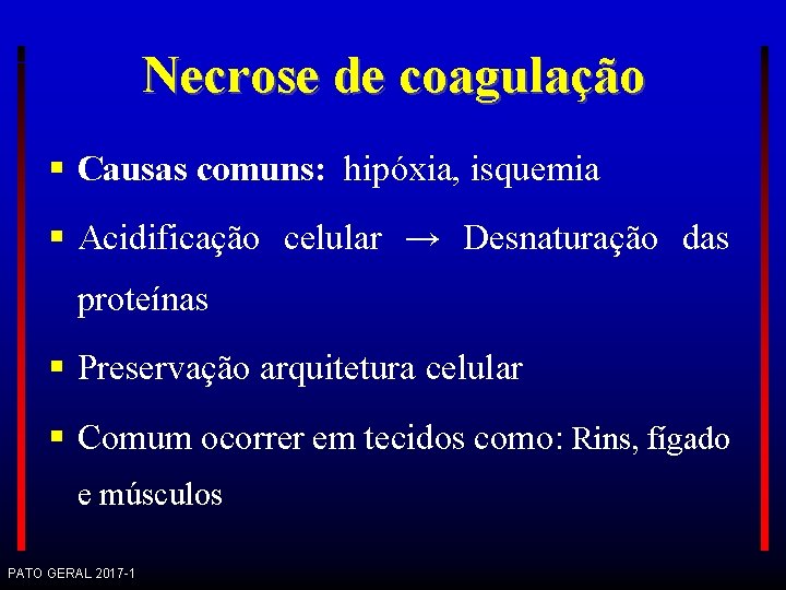 Necrose de coagulação Causas comuns: hipóxia, isquemia Acidificação celular → Desnaturação das proteínas Preservação