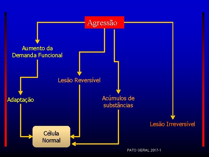 Agressão Aumento da Demanda Funcional Lesão Reversível Acúmulos de substâncias Adaptação Lesão Irreversível Célula