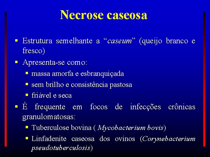 Necrose caseosa Estrutura semelhante a “caseum” (queijo branco e fresco) Apresenta-se como: massa amorfa