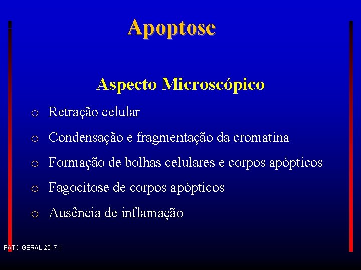 Apoptose Aspecto Microscópico o Retração celular o Condensação e fragmentação da cromatina o Formação