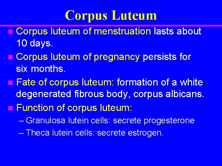 Corpus Luteum Corpus luteum of menstruation lasts about 10 days. n Corpus luteum of
