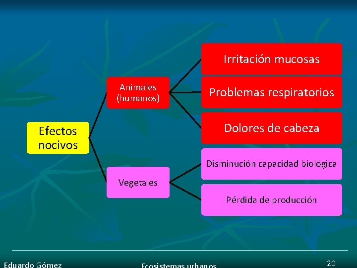 Irritación mucosas Animales (humanos) Problemas respiratorios Dolores de cabeza Efectos nocivos Disminución capacidad biológica
