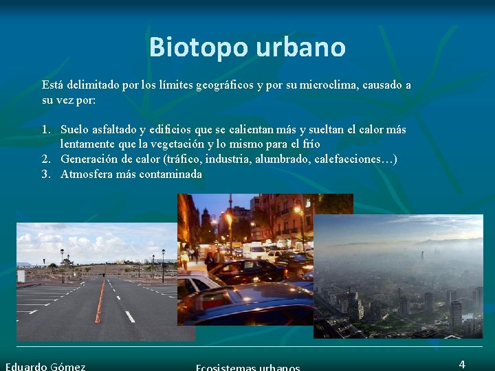 Biotopo urbano Está delimitado por los límites geográficos y por su microclima, causado a