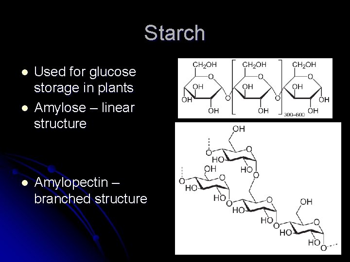 Starch l l l Used for glucose storage in plants Amylose – linear structure