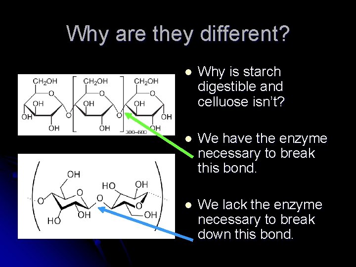 Why are they different? l Why is starch digestible and celluose isn’t? l We