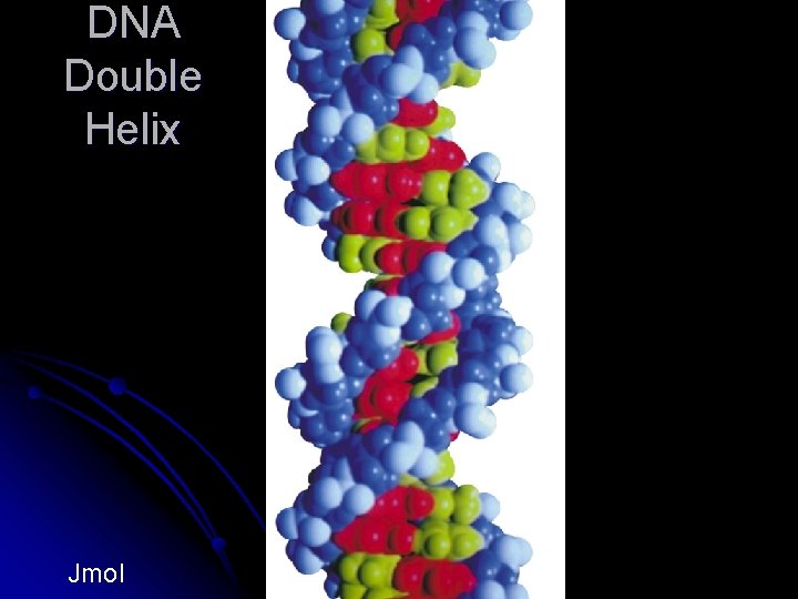 DNA Double Helix Jmol 