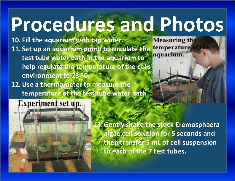 Procedures and Photos 10. Fill the aquarium with tap water. 11. Set up an