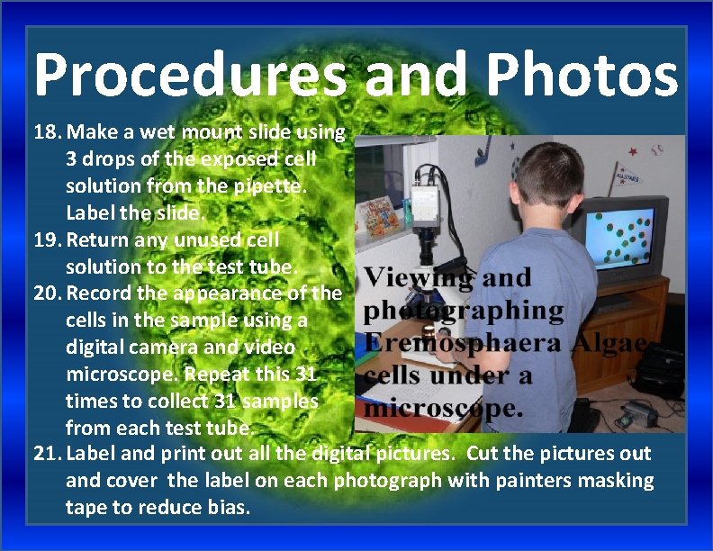 Procedures and Photos 18. Make a wet mount slide using 3 drops of the