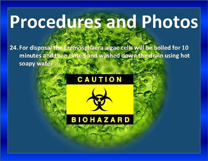 Procedures and Photos 24. For disposal the Eremosphaera algae cells will be boiled for