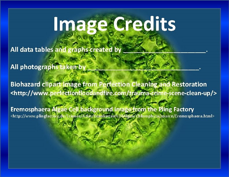 Image Credits All data tables and graphs created by ____________. All photographs taken by