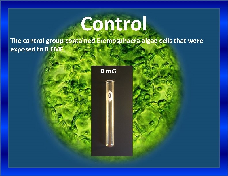 Control The control group contained Eremosphaera algae cells that were exposed to 0 EMF.