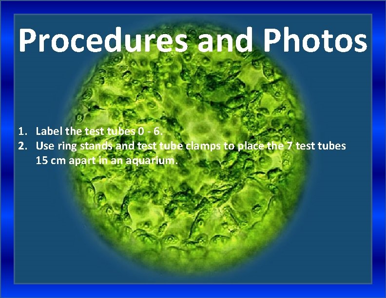 Procedures and Photos 1. Label the test tubes 0 - 6. 2. Use ring