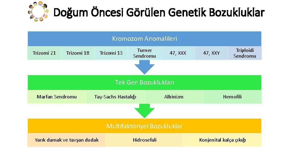 Doğum Öncesi Görülen Genetik Bozukluklar Kromozom Anomalileri Trizomi 21 Trizomi 18 Trizomi 13 Turner