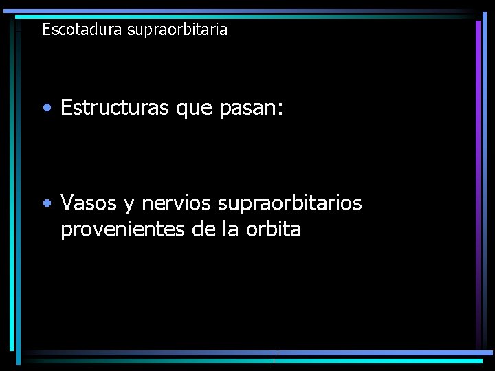 Escotadura supraorbitaria • Estructuras que pasan: • Vasos y nervios supraorbitarios provenientes de la