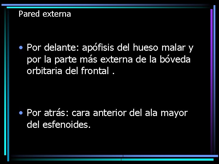 Pared externa • Por delante: apófisis del hueso malar y por la parte más