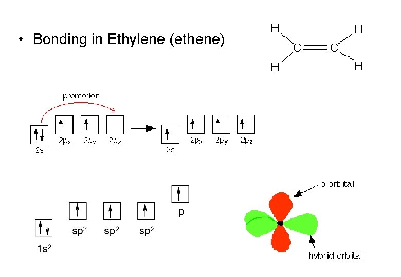 • Bonding in Ethylene (ethene) • Bonding in Ethylene (ethene)