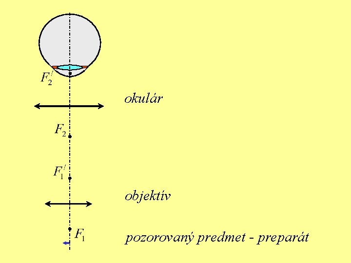 okulár objektív pozorovaný predmet - preparát 