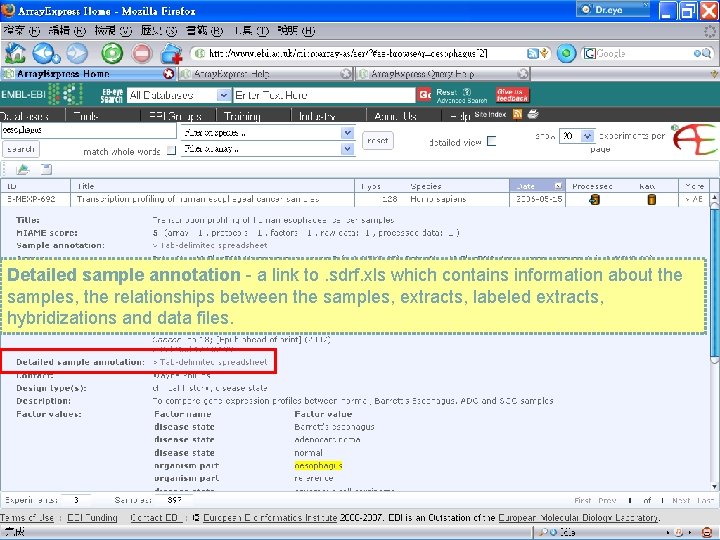 Detailed sample annotation - a link to. sdrf. xls which contains information about the
