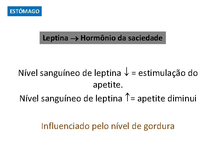 ESTÔMAGO Leptina Hormônio da saciedade Nível sanguíneo de leptina = estimulação do apetite. Nível