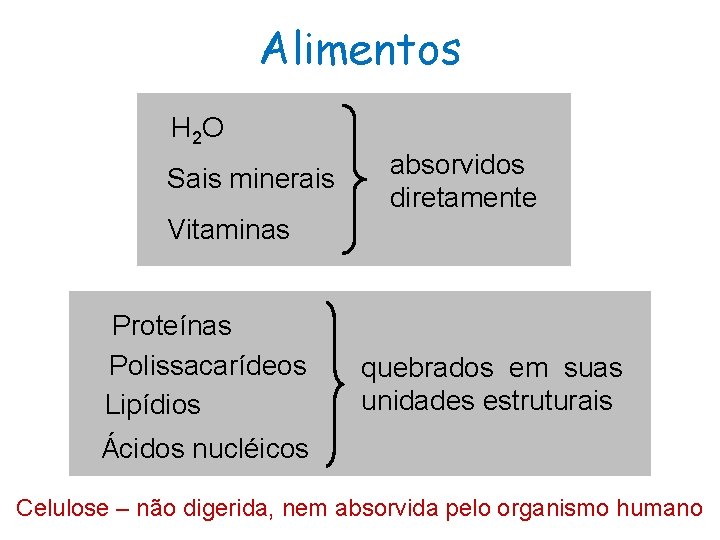 Alimentos H 2 O Sais minerais absorvidos diretamente Vitaminas Proteínas Polissacarídeos Lipídios quebrados em