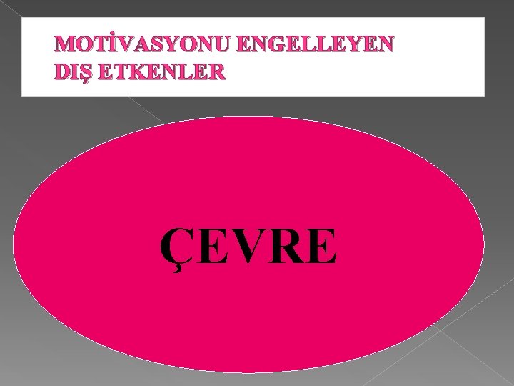 MOTİVASYONU ENGELLEYEN DIŞ ETKENLER AİLE ÇEVRE ARKADAŞLAR 