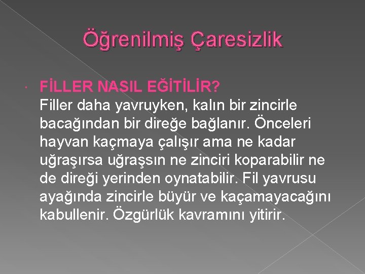 Öğrenilmiş Çaresizlik FİLLER NASIL EĞİTİLİR? Filler daha yavruyken, kalın bir zincirle bacağından bir direğe