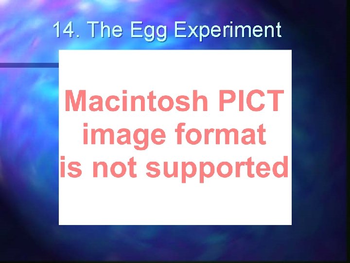 14. The Egg Experiment 