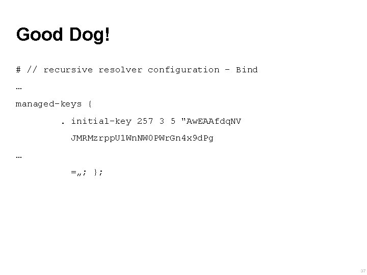 Good Dog! # // recursive resolver configuration - Bind … managed-keys {. initial-key 257
