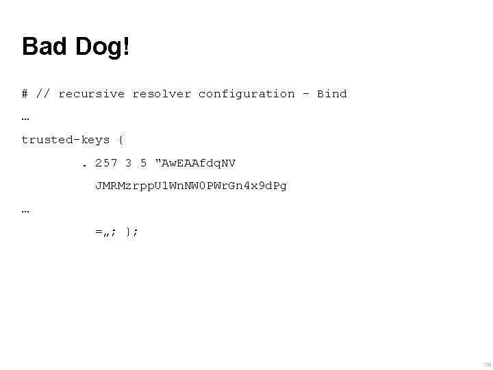 Bad Dog! # // recursive resolver configuration - Bind … trusted-keys {. 257 3