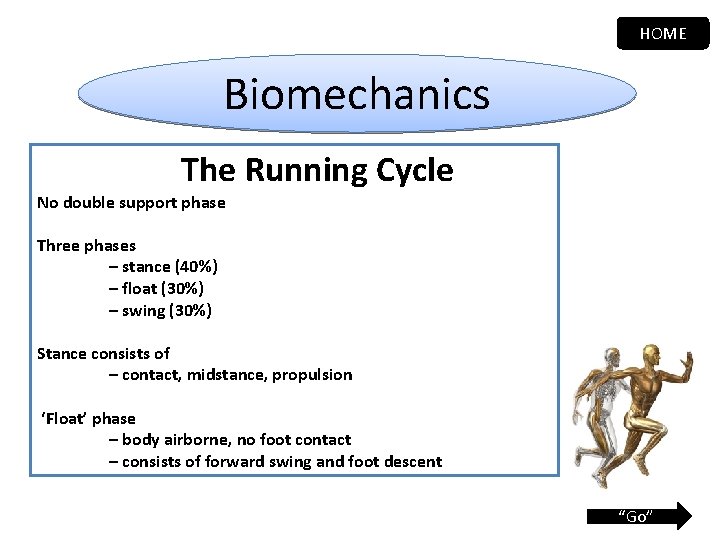 HOME Biomechanics The Running Cycle No double support phase Three phases – stance (40%)