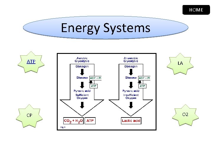 HOME Energy Systems ATP CP LA O 2 