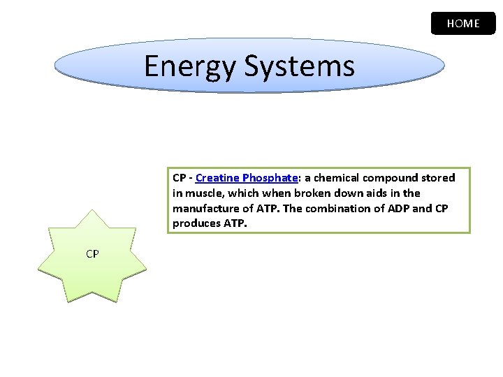 HOME Energy Systems CP - Creatine Phosphate: a chemical compound stored in muscle, which