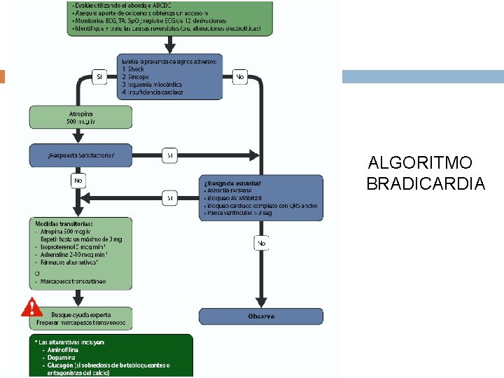 ALGORITMO BRADICARDIA 