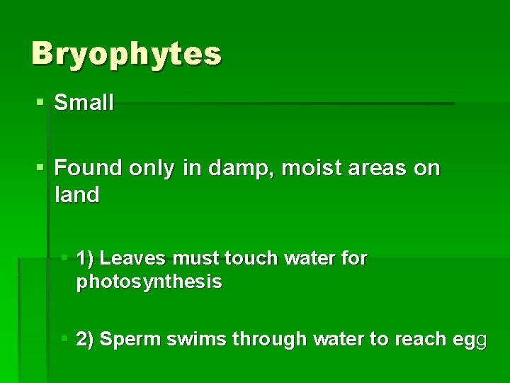 Bryophytes § Small § Found only in damp, moist areas on land § 1)