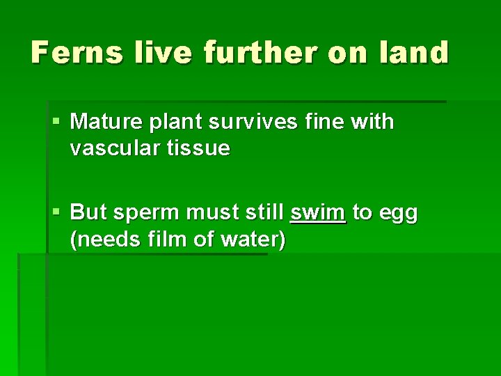 Ferns live further on land § Mature plant survives fine with vascular tissue §