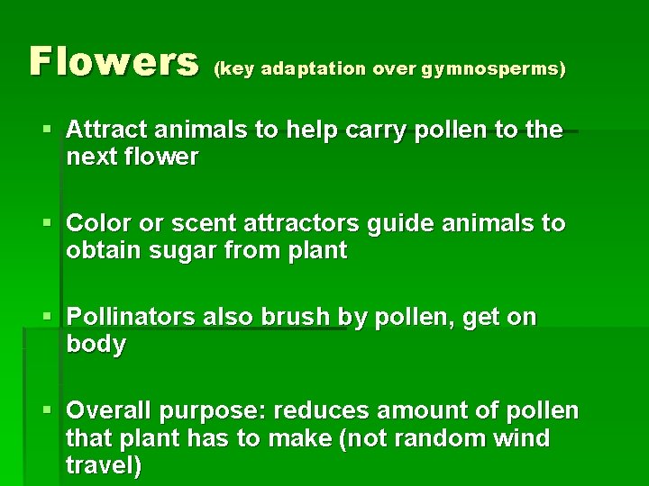 Flowers (key adaptation over gymnosperms) § Attract animals to help carry pollen to the