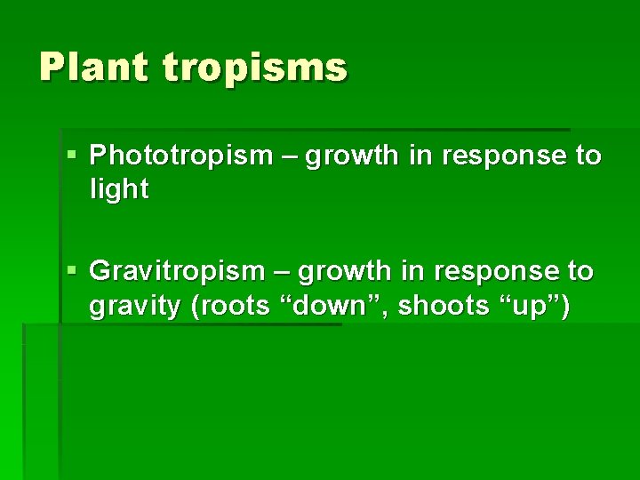 Plant tropisms § Phototropism – growth in response to light § Gravitropism – growth