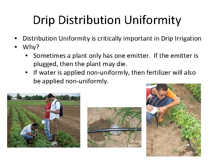 Drip Distribution Uniformity • Distribution Uniformity is critically important in Drip Irrigation • Why?