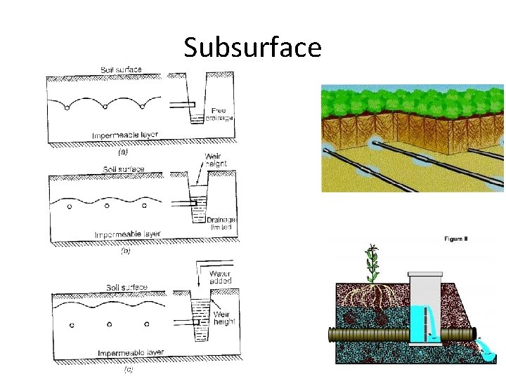 Subsurface 