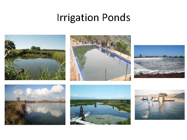 Irrigation Ponds 