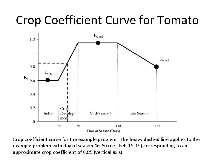 Crop Coefficient Curve for Tomato Crop coefficient curve for the example problem. The heavy